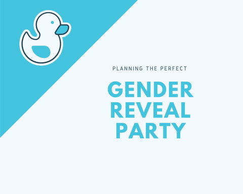 newborn-gender-reveal-photoshoot-party-idea